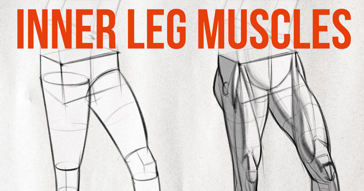 1200x630 how to draw legs the adductors proko - Thigh Drawing