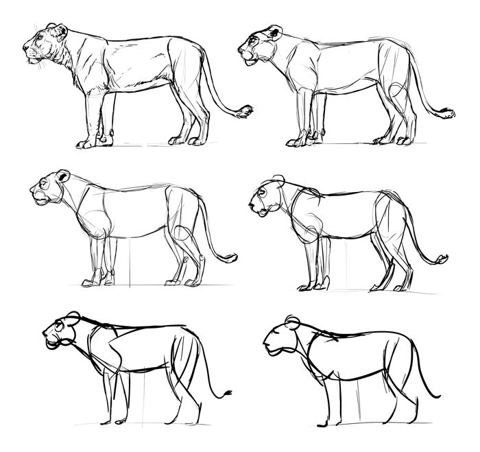 700x659 how to draw from imagination beyond references - Thing Drawing