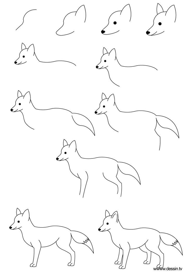 736x1040 How To Draw A C Cute Fox And Its Easy How To Draw Thing - Thing Drawing