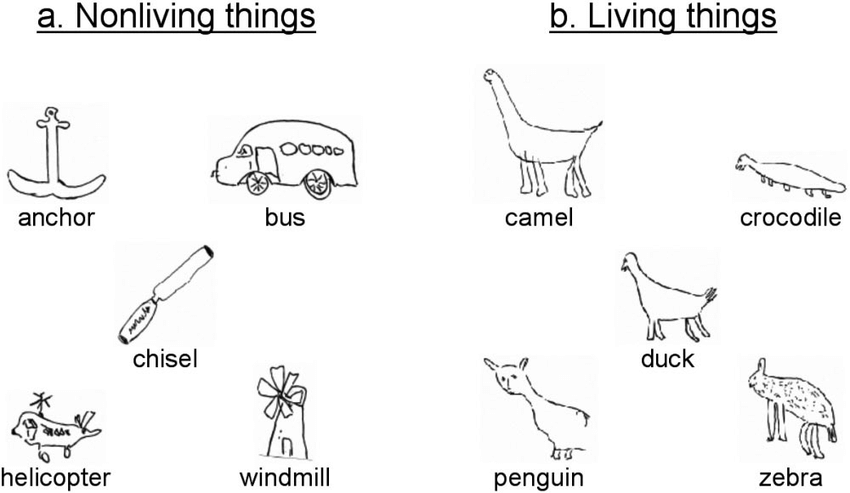 850x493 Drawings - Things Drawing