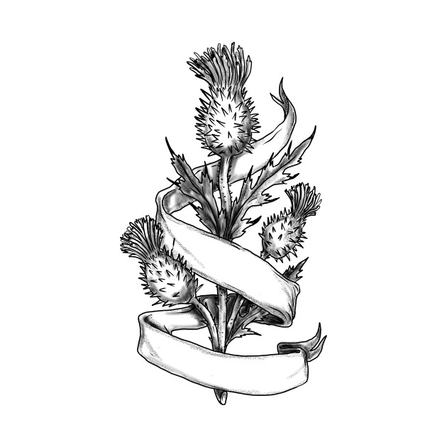 630x630 Scottish Thistle With Ribbon Sketch - Thistle Drawing