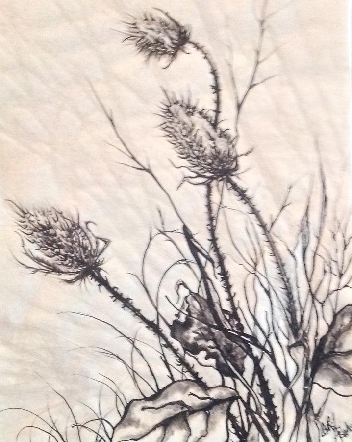 718x900 Thistle Drawing - Thistle Drawing