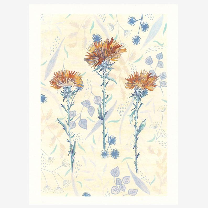 794x794 thistle drawing thistle flower drawing botanical drawing etsy - Thistle Drawing