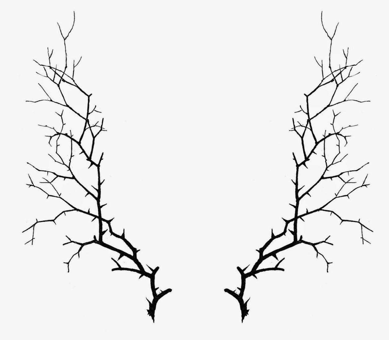 1264x1106 vine drawing thorns for free download - Thorn Bush Drawing