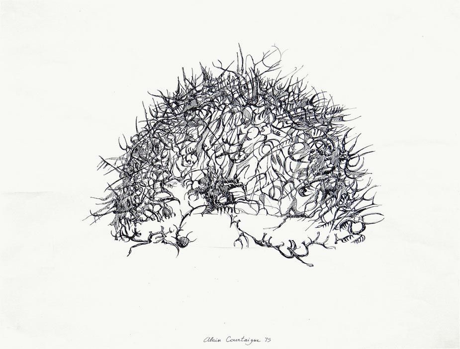 925x702 buisson thorn bush - Thorn Bush Drawing