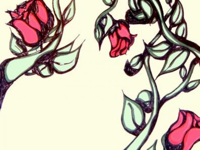 640x480 drawn vine thorn drawing - Thorn Vine Drawing