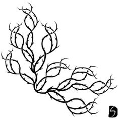 236x236 pictures of thorny vines drawing - Thorn Vine Drawing