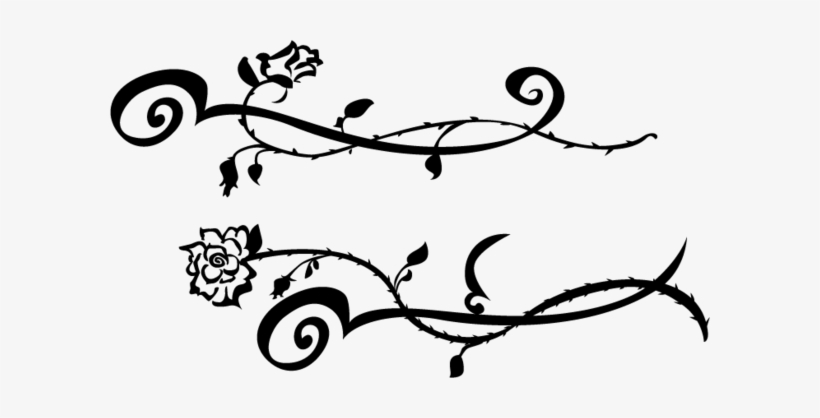 820x418 Rose Vine Drawing - Thorn Vine Drawing
