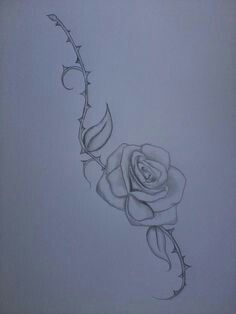 236x314 rose and thorn covered vine drawing cool drawings tattoos - Thorn Vine Drawing