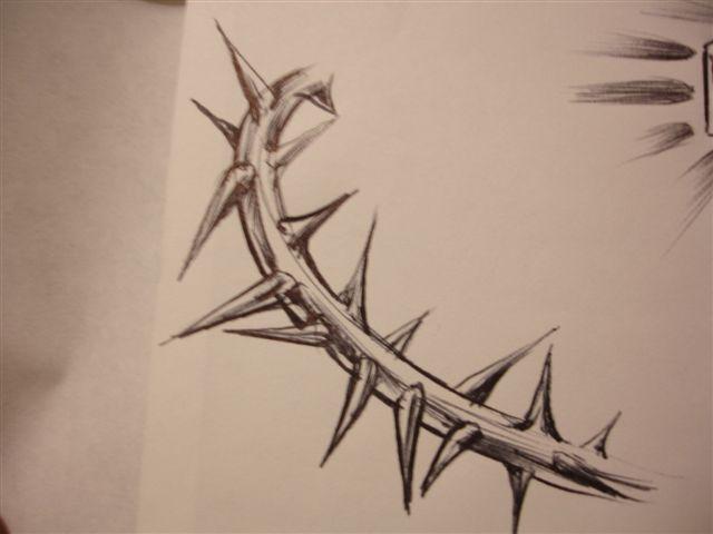 Thorn Vine Drawing at PaintingValley.com | Explore collection of Thorn