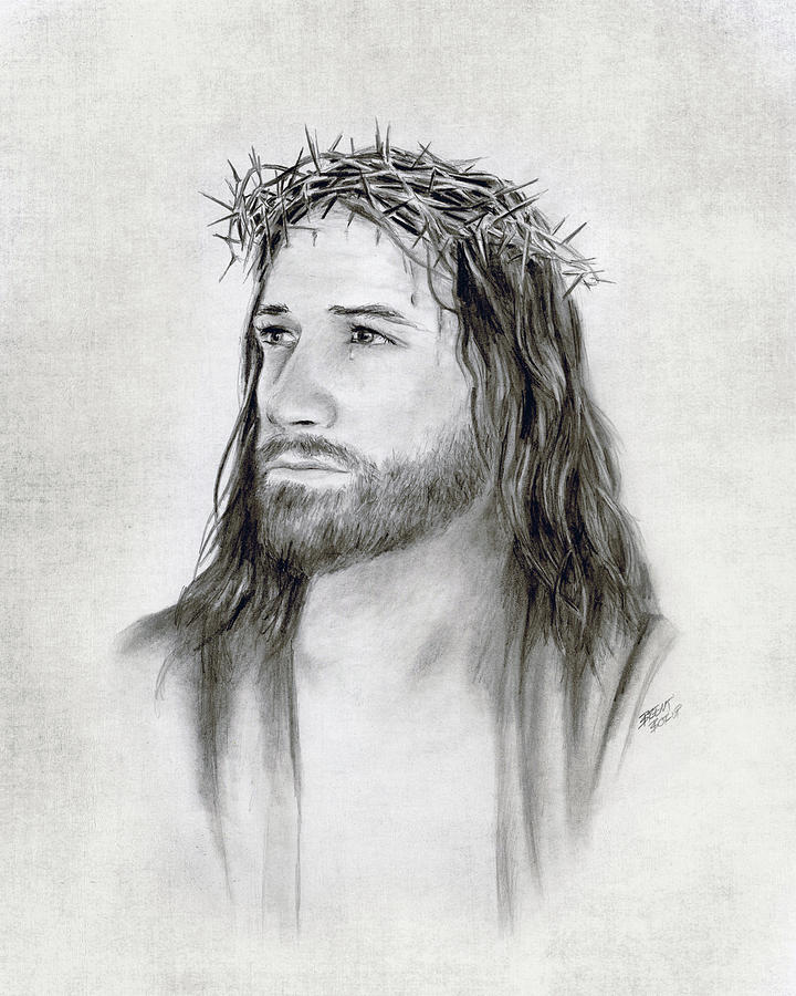 720x900 crown of thorns drawing - Thorns Drawing