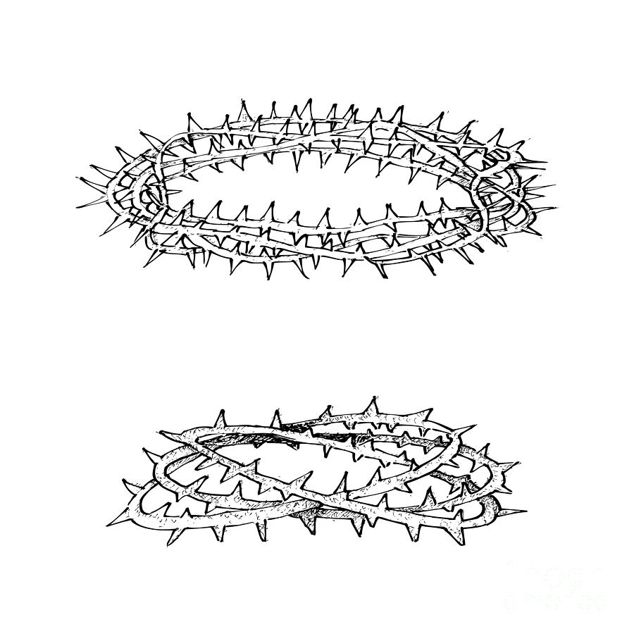 900x900 hand drawn crown of thorns on white background drawing - Thorns Drawing