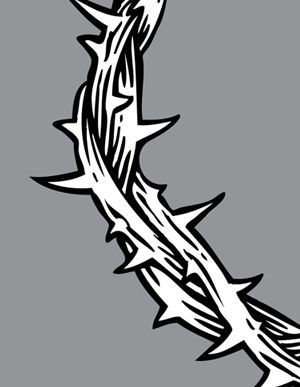 300x387 thorns drawings, vine drawing - Thorns Drawing