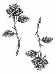 197x255 thorny rose drawing tattoos tattoos, rose tattoos, single rose - Thorns Drawing