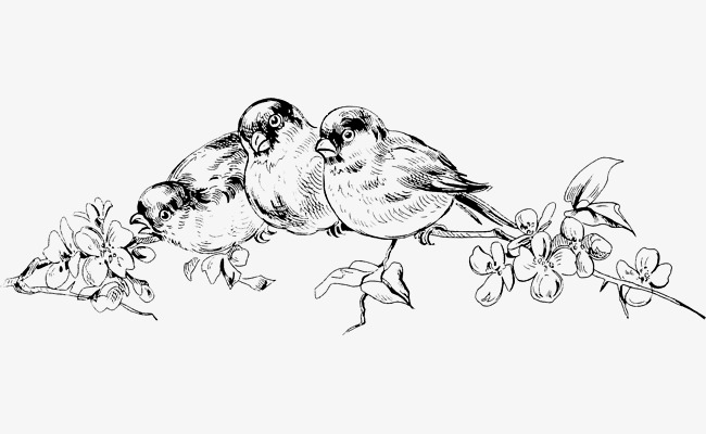 650x400 three birds, three, birds, animal png image and clipart for free - Three Birds Drawing
