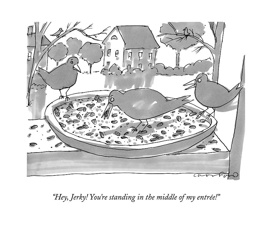 899x745 Three Birds In A Bird Feeder Drawing - Three Birds Drawing