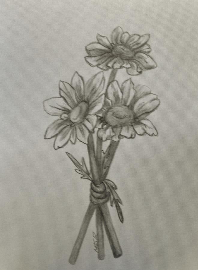 660x900 Three Daisies Drawing - Three Drawing