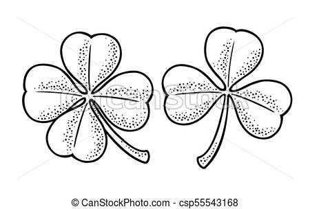 450x304 Good Luck Four And Three Leaf Clover Vintage Vector Engraving - Three Leaf Clover Drawing