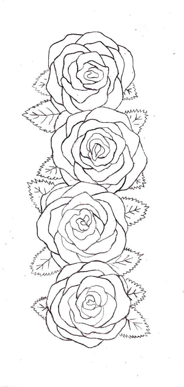 Three Roses Drawing at Explore collection of Three