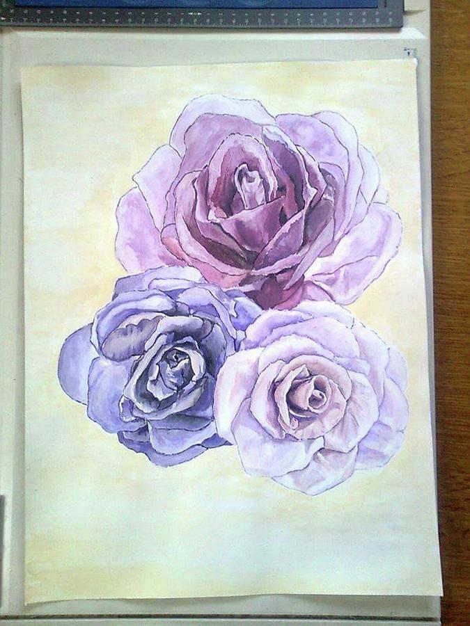 675x900 Three Roses Drawing - Three Roses Drawing