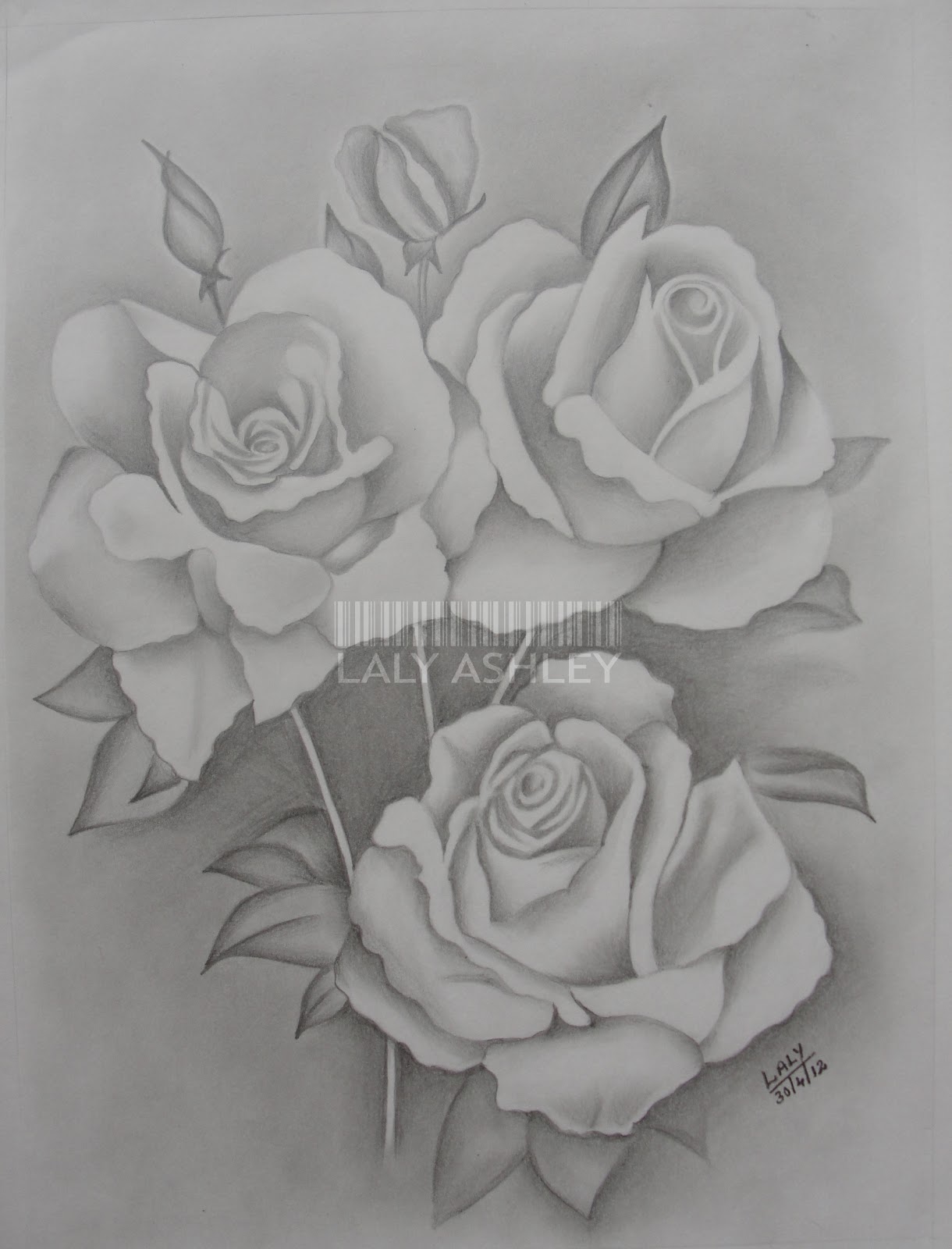 1220x1600 art craps from laly ashley three roses - Three Roses Drawing