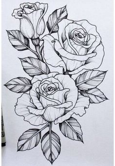 236x340 Rosas Sketch Tattoos, Tattoo Drawings, Tattoo Sketches - Three Roses Drawing