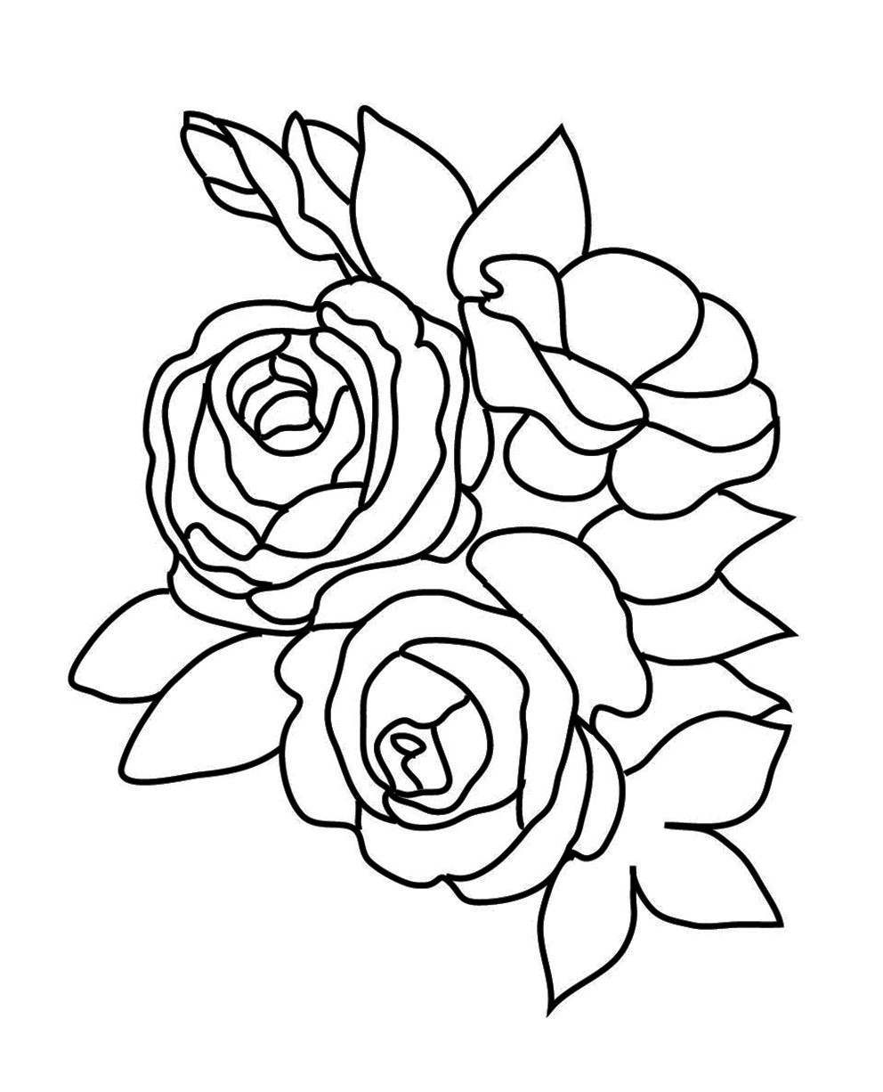992x1226 flower coloring pages three roses leaves rose - Three Roses Drawing