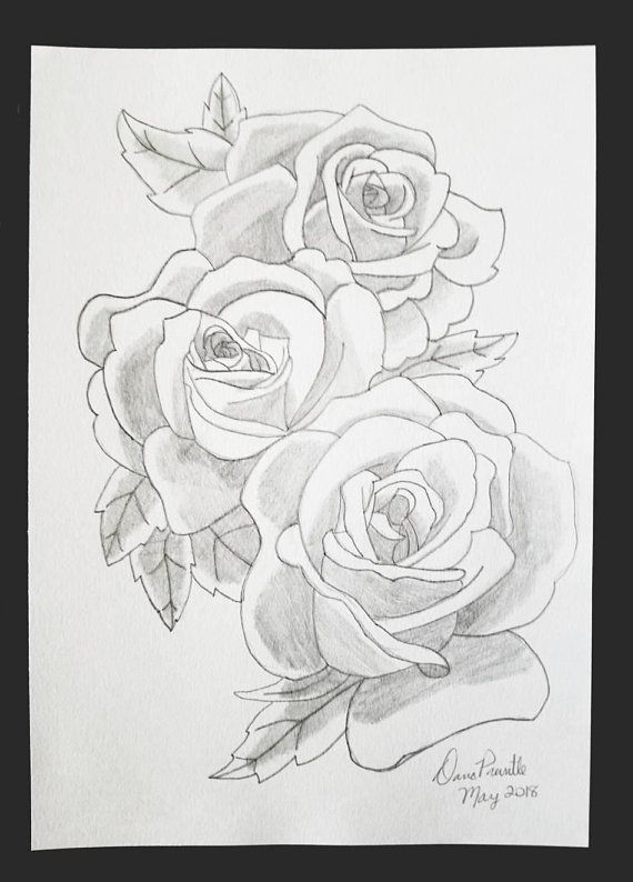 570x794 Flowers Drawings Inspiration Rose Bunch Drawing Three Rose Heads - Three Roses Drawing