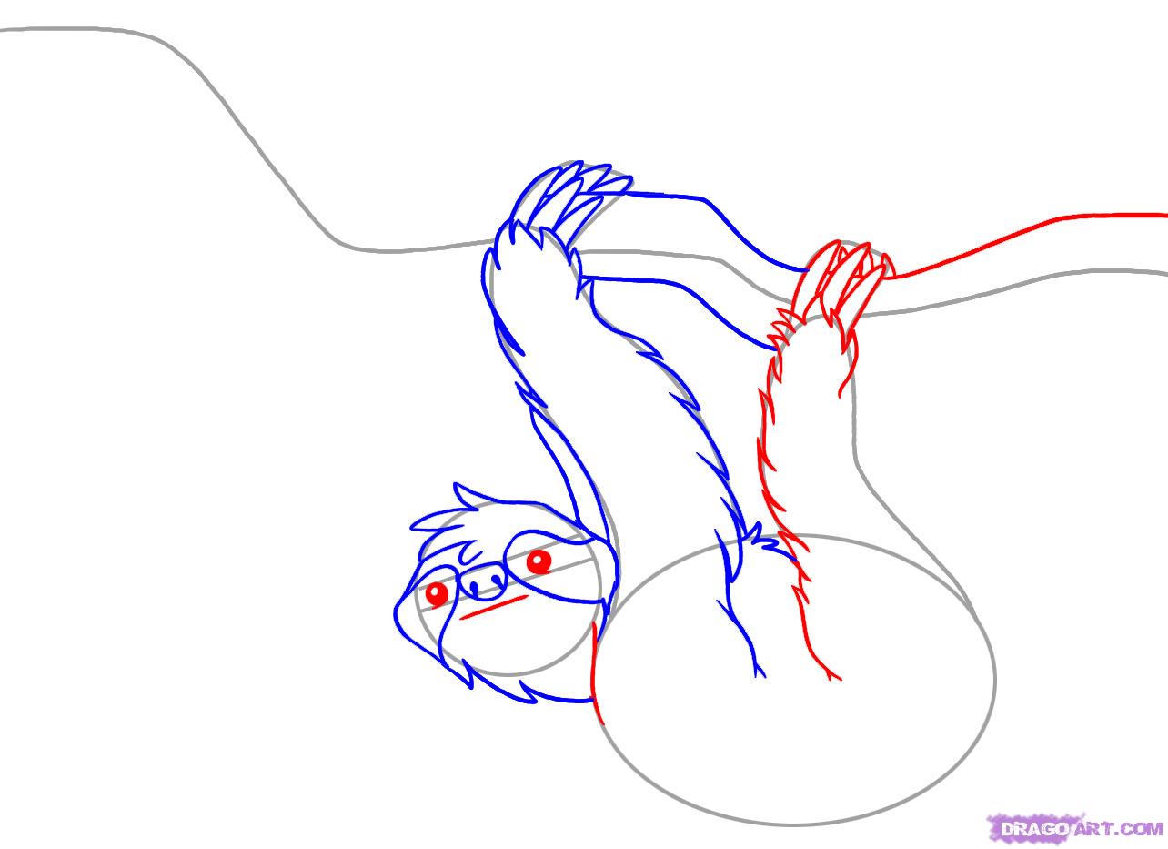 1284x933 How To Draw A Sloth, Step - Three Toed Sloth Drawing