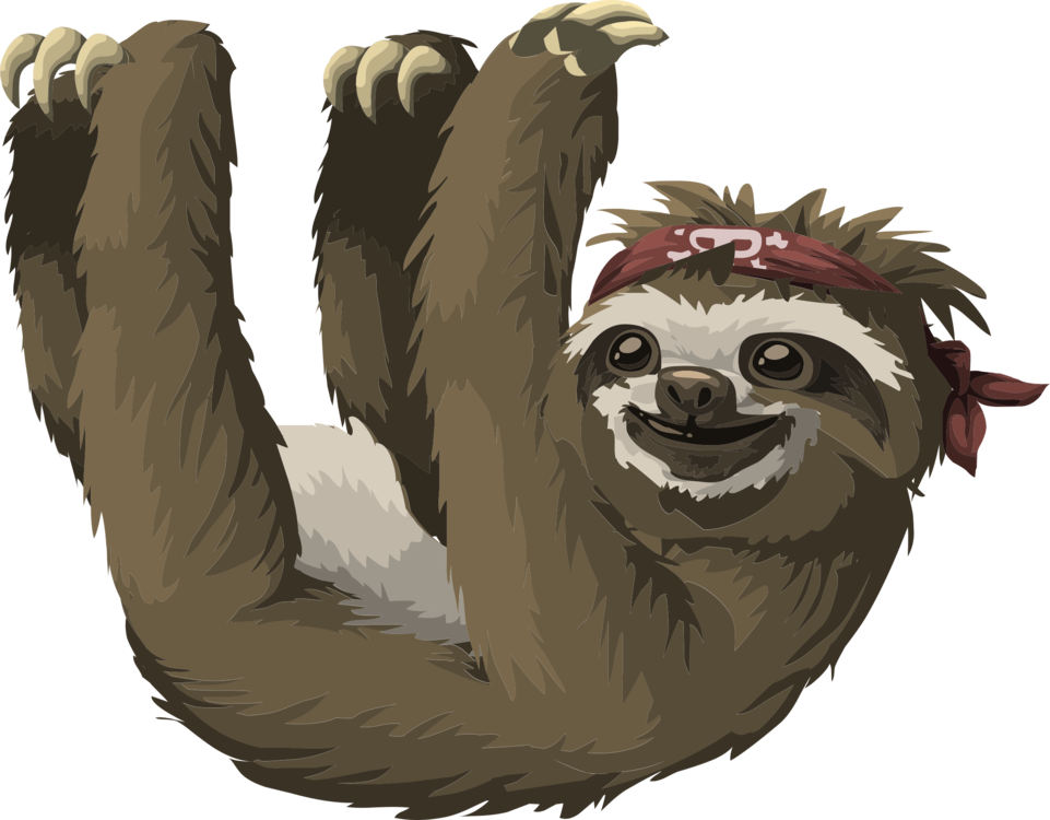 961x750 Pygmy Three Toed Sloth Koala Drawing Cc0 - Three Toed Sloth Drawing