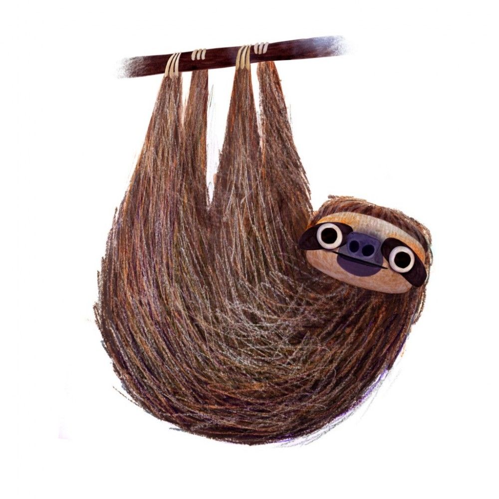 1000x1000 Three Toed Sloth - Three Toed Sloth Drawing