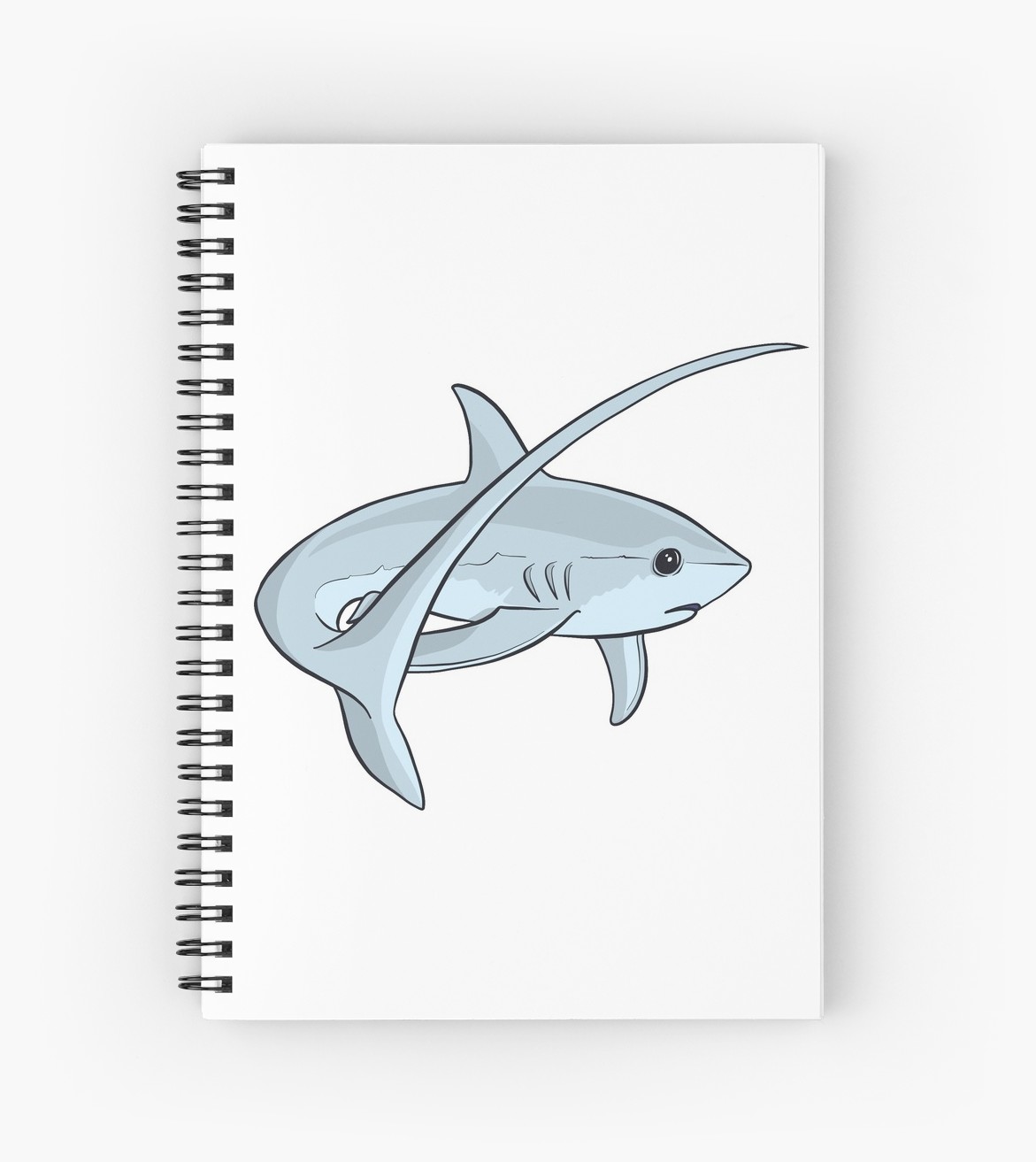 Thresher Shark Drawing at PaintingValley.com | Explore collection of ...