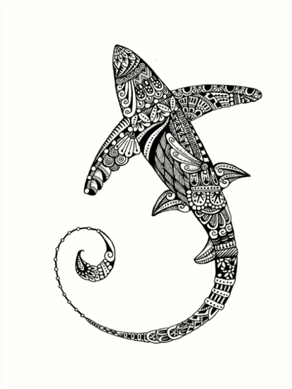 413x549 Thresher Shark Art Prints - Thresher Shark Drawing