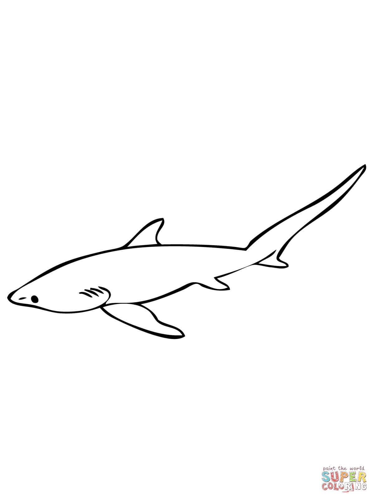 1200x1600 Fuchshaie Ausmalbilder Tattoo Shark Coloring Pages, Shark - Thresher Shark Drawing
