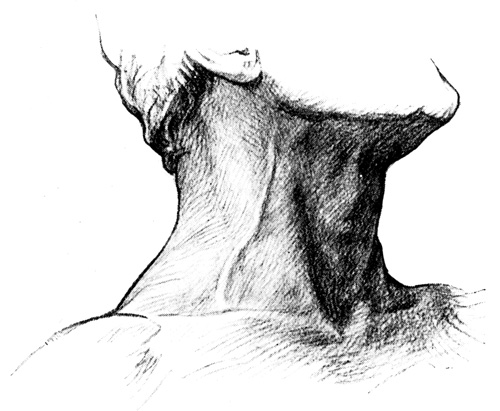 Throat Drawing At PaintingValley.com | Explore Collection Of Throat Drawing