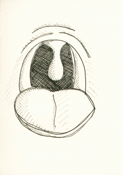423x600 Tonsils - Throat Drawing