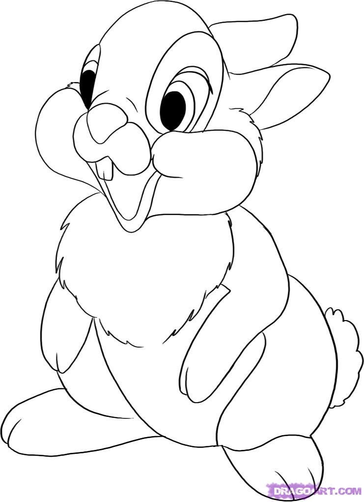 741x1021 how to draw thumper from bambi, step - Thumper Drawing