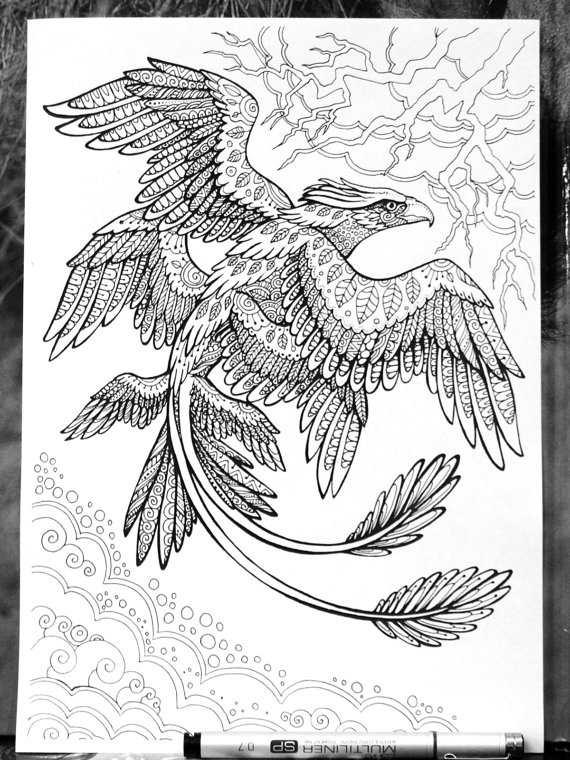 570x760 frank the thunderbird fantastic beasts adult coloring - Thunderbird Drawing