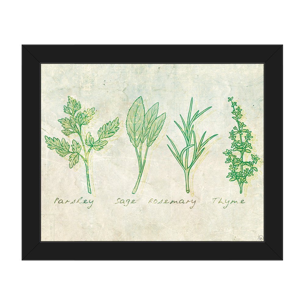 1000x1000 Herbs Drawing Kitchen Parsley Sage Rosemary Thyme - Thyme Drawing