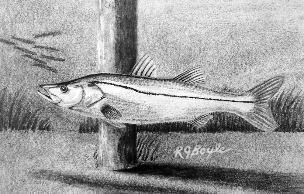 1000x639 slack tide, drawing - Tide Drawing