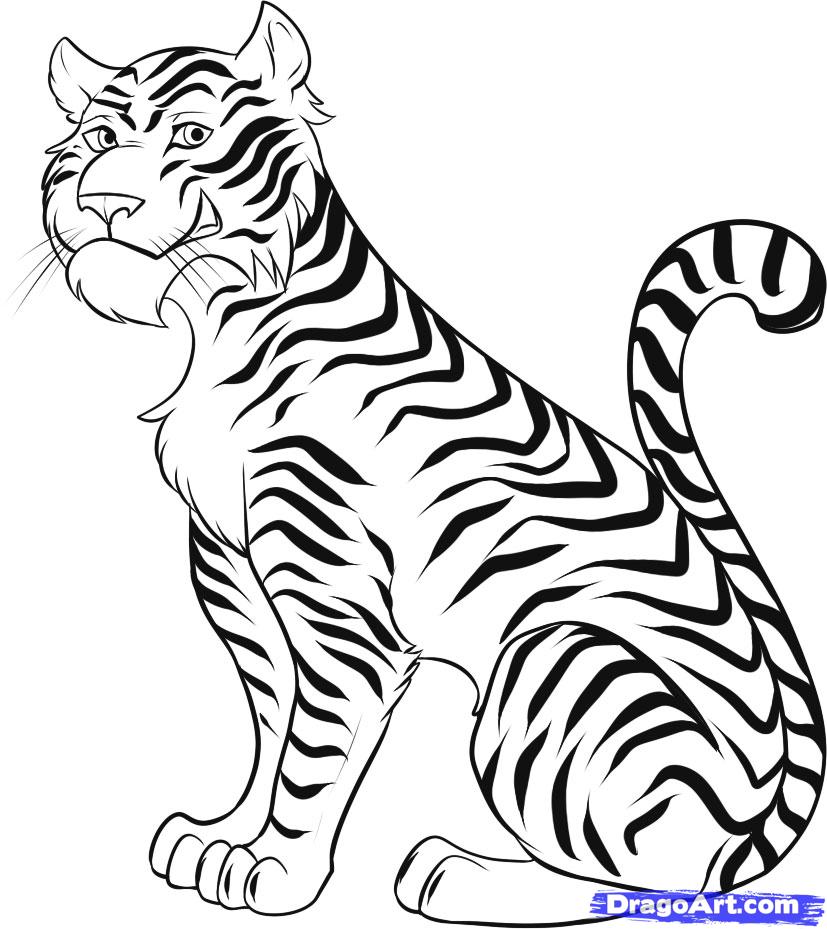 827x929 Tiger Cartoon Drawing Nice Pics - Tiger Cartoon Drawing