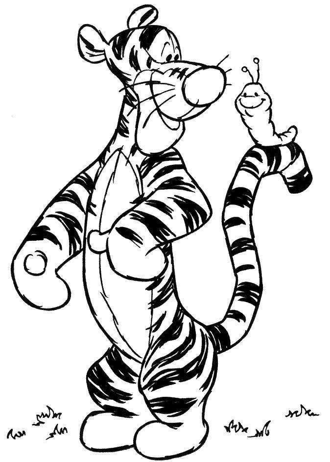 674x942 Tiger Cartoon Drawings - Tiger Cartoon Drawing