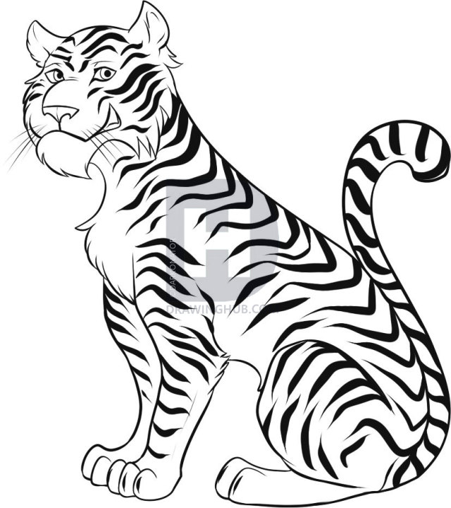 640x720 How To Draw A Cartoon Tiger, Step - Tiger Cartoon Drawing