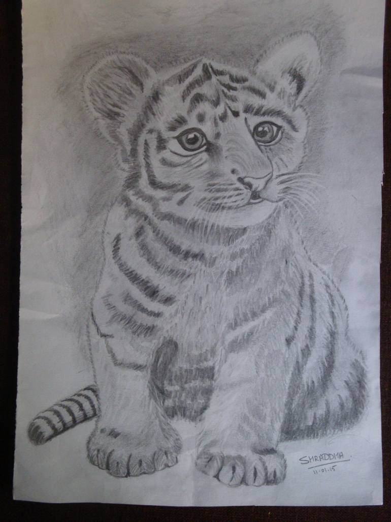 770x1027 Tiger Cub Drawing - Tiger Cub Drawing