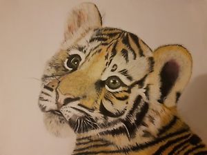 300x225 Handdrawn Original Tiger Cub Drawing, Prismacolor Ebay - Tiger Cub Drawing