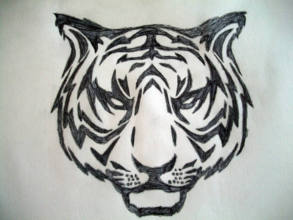 600x450 Tiger Drawings - Tiger Drawing