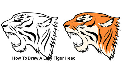 Tiger Drawing Easy at PaintingValley.com | Explore collection of Tiger ...