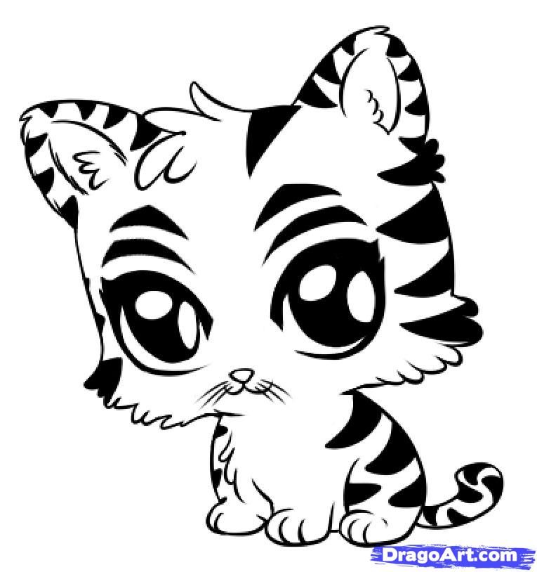 765x814 Step How To Draw A Cute Tiger How To Draw Cute Animal - Tiger Drawing Easy