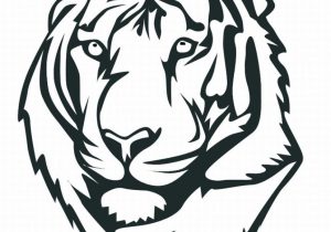 300x210 easy tiger drawings in black and white tiger side face sketch easy - Tiger Drawing Easy