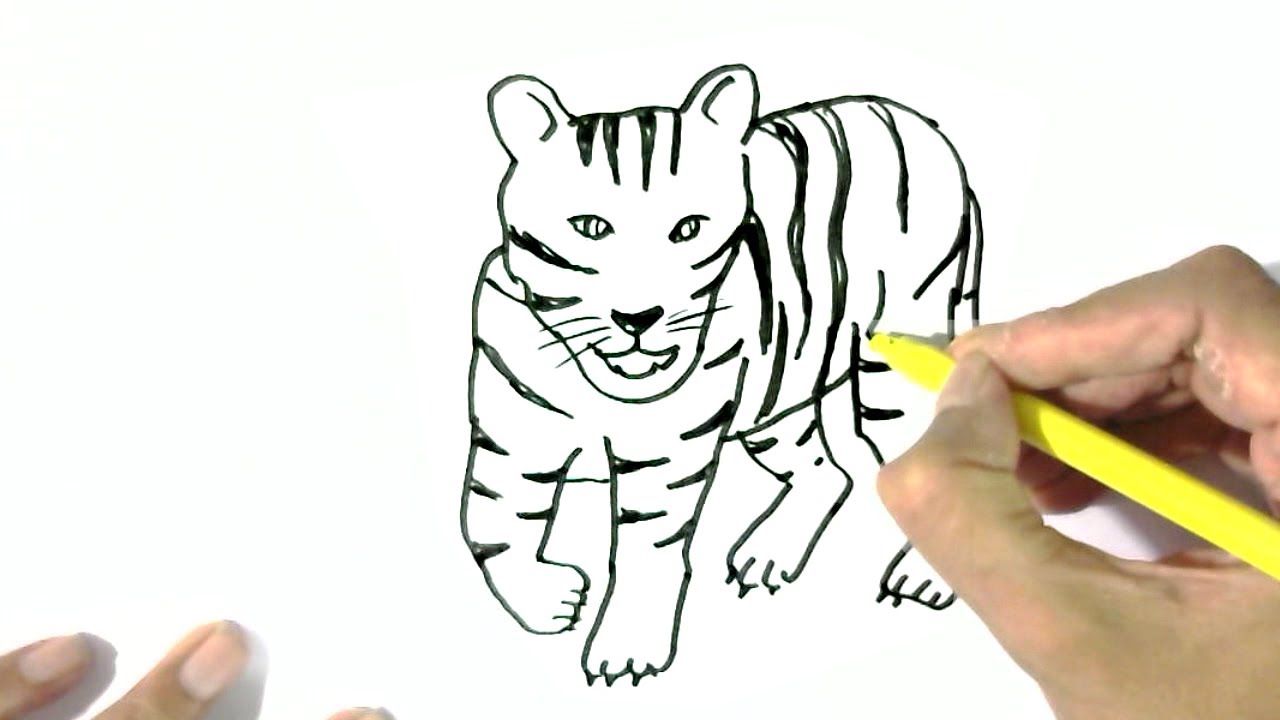 1280x720 How To Draw A Tiger - Tiger Drawing For Kids